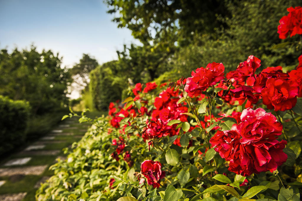 Bed and Breakfast Corte Delle Cicale Bardolino Exterior foto