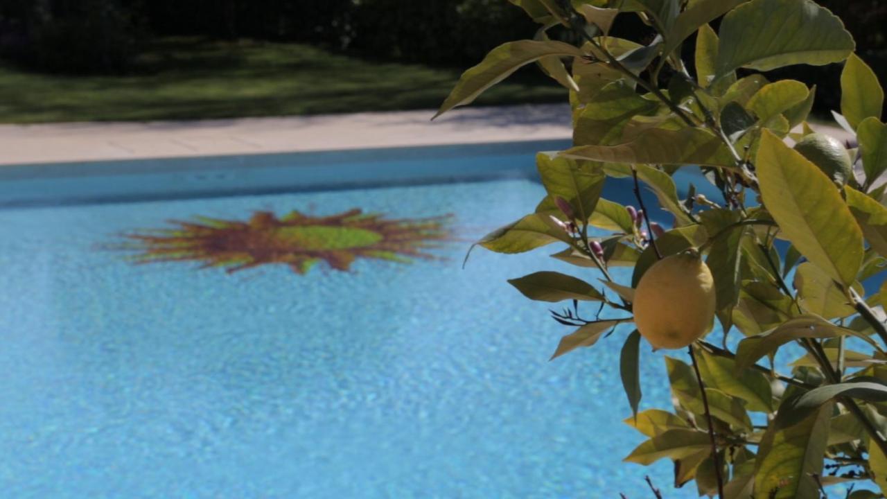Bed and Breakfast Corte Delle Cicale Bardolino Exterior foto